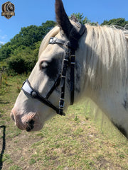 Handmade leather baroque horse bridle with a medieval flair