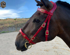 Handmade Leather Horse Tack with Medieval and Elegant Design: Baroque Bridle Vienna