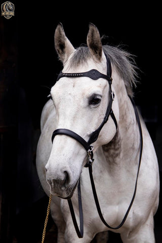 Sidepull Bridle for Bitless Riding – Black, Havana, and Natural Leather Options | Baroque Style