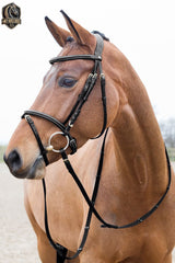 Handmade Leather Horse Bridle in the Baroque Style