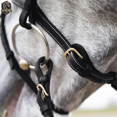 Handmade Leather Horse Bridle in the Baroque Style