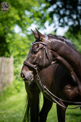 Bitless Bridle Anatomical with Exchangeable Pads and Crystal Browband – Cross Bridle & Sidepull Design