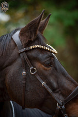 Bitless Bridle Anatomical with Exchangeable Pads and Crystal Browband – Cross Bridle & Sidepull Design