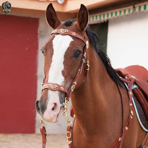 Portuguese Bridle Set with Reins, Breastplate, and Crupper