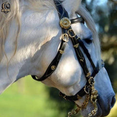 Handcrafted Elegant Horse Reins and Bridle with Brass Accents