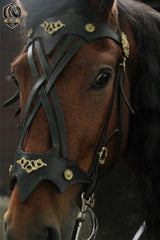 Fancy Leather Horse Bridle with Reins – Western Style & Brass Ornaments