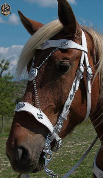 Spanish Fancy Horse Bridle – Pure White Leather with Brass Gold Ornaments