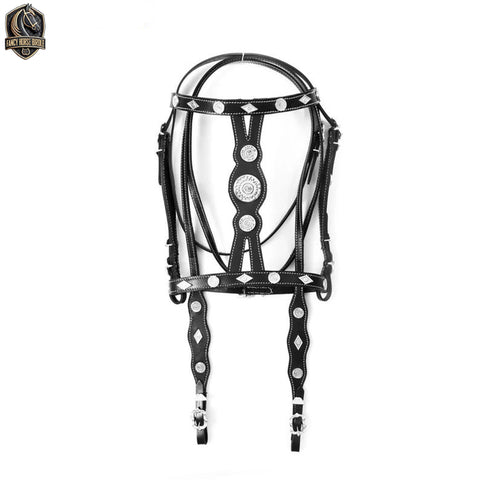 Horse Bridle in the Spanish Baroque Style with Brass Accents