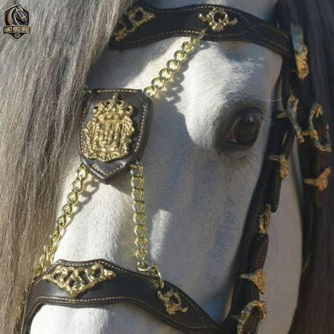 Handcrafted Elegant Horse Reins and Bridle with Brass Accents