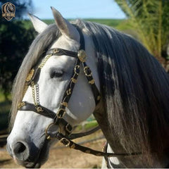 Handcrafted Elegant Horse Reins and Bridle with Brass Accents