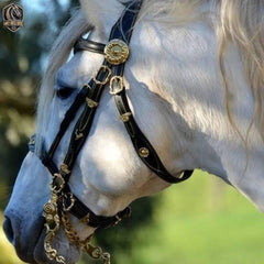 Handcrafted Elegant Horse Reins and Bridle with Brass Accents