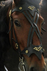 Fancy Leather Horse Bridle with Reins – Western Style & Brass Ornaments