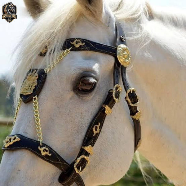 Handcrafted Elegant Horse Reins and Bridle with Brass Accents