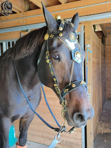 Fancy Horse Bridle with Reins – Handmade Elegance