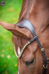 Braided Anatomical Bridle with Crystal Gold in Dark Brown – Bridle Midnight