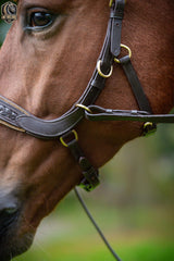 Braided Anatomical Bridle with Crystal Gold in Dark Brown – Bridle Midnight