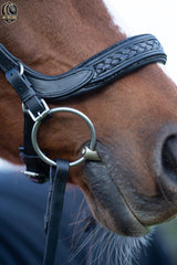 Braided Anatomical Bridle with Crystal Gold in Dark Brown – Bridle Midnight