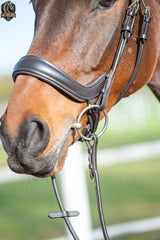 Anatomica Bridle – Anatomical Comfort and Elegance for Your Horse