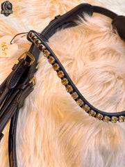 Anatomica Bridle – Anatomical Comfort and Elegance for Your Horse