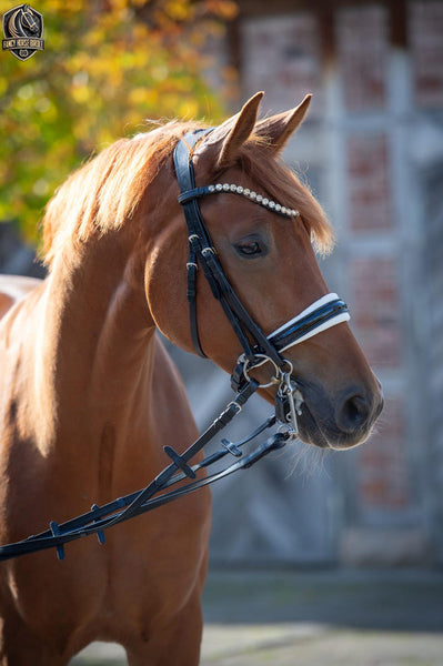 White Sparkle Curb Bit with Glittering Patent Leather and Conical Noseband