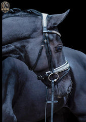 Bridle Diamond Dust Thoroughbred – Elegance That Shines Bright